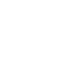 gnt-1